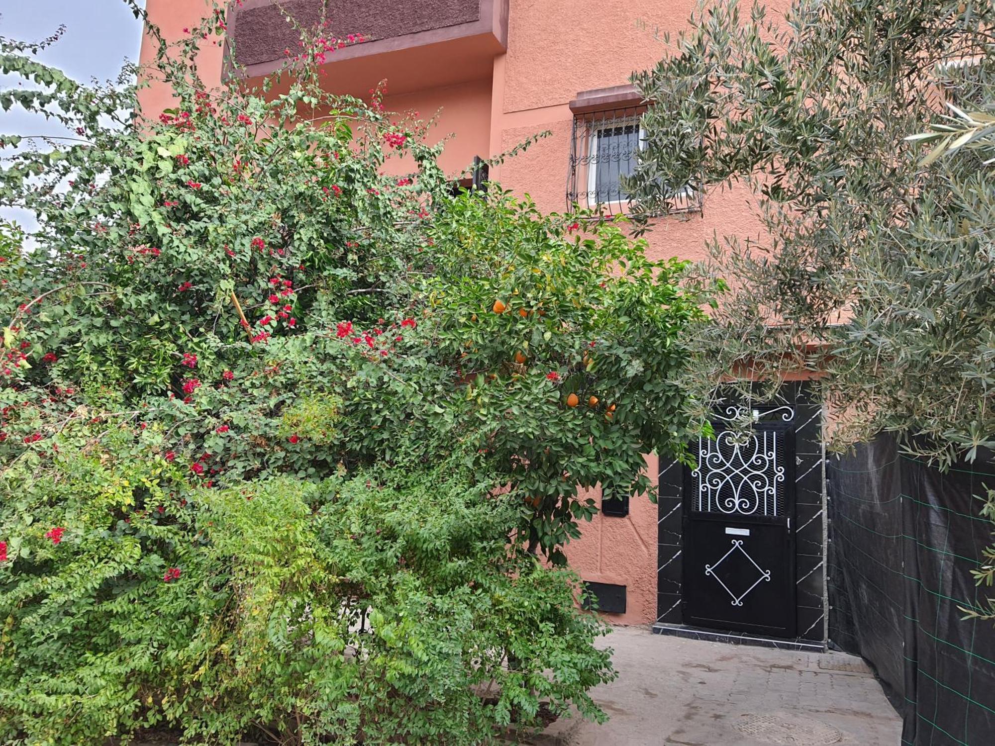 מרקש Marrakech Plus מראה חיצוני תמונה