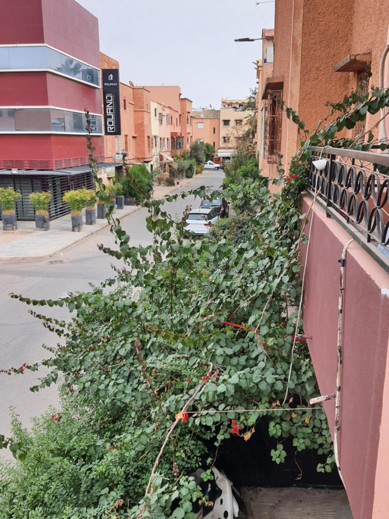 מרקש Marrakech Plus מראה חיצוני תמונה
