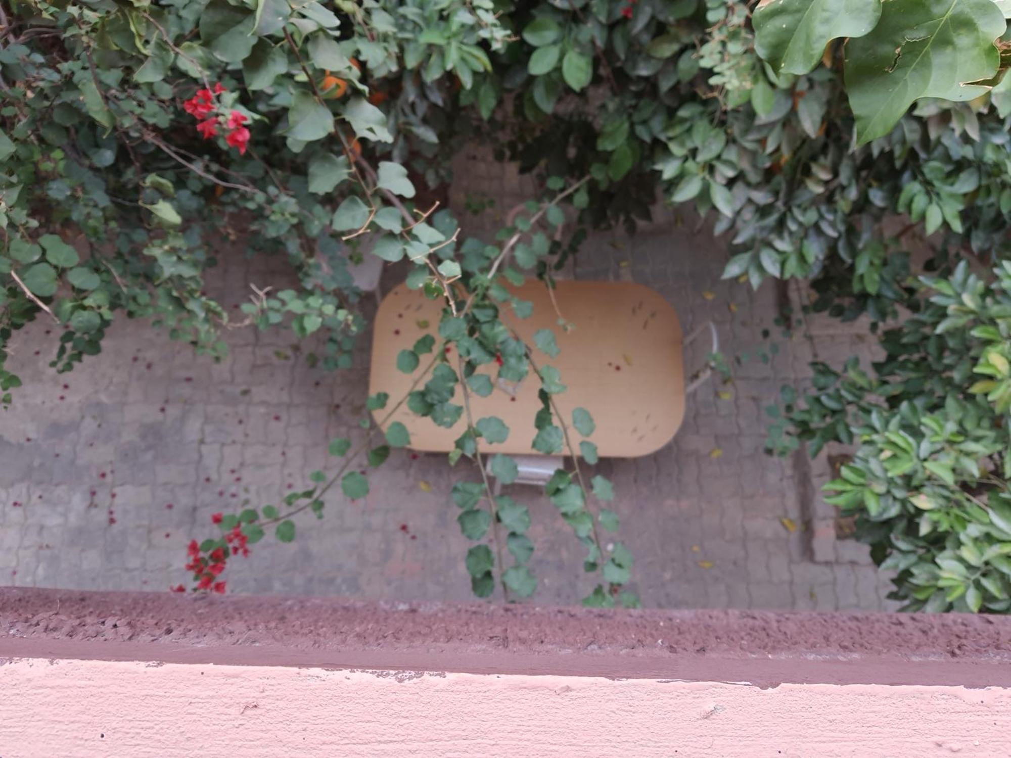 מרקש Marrakech Plus מראה חיצוני תמונה