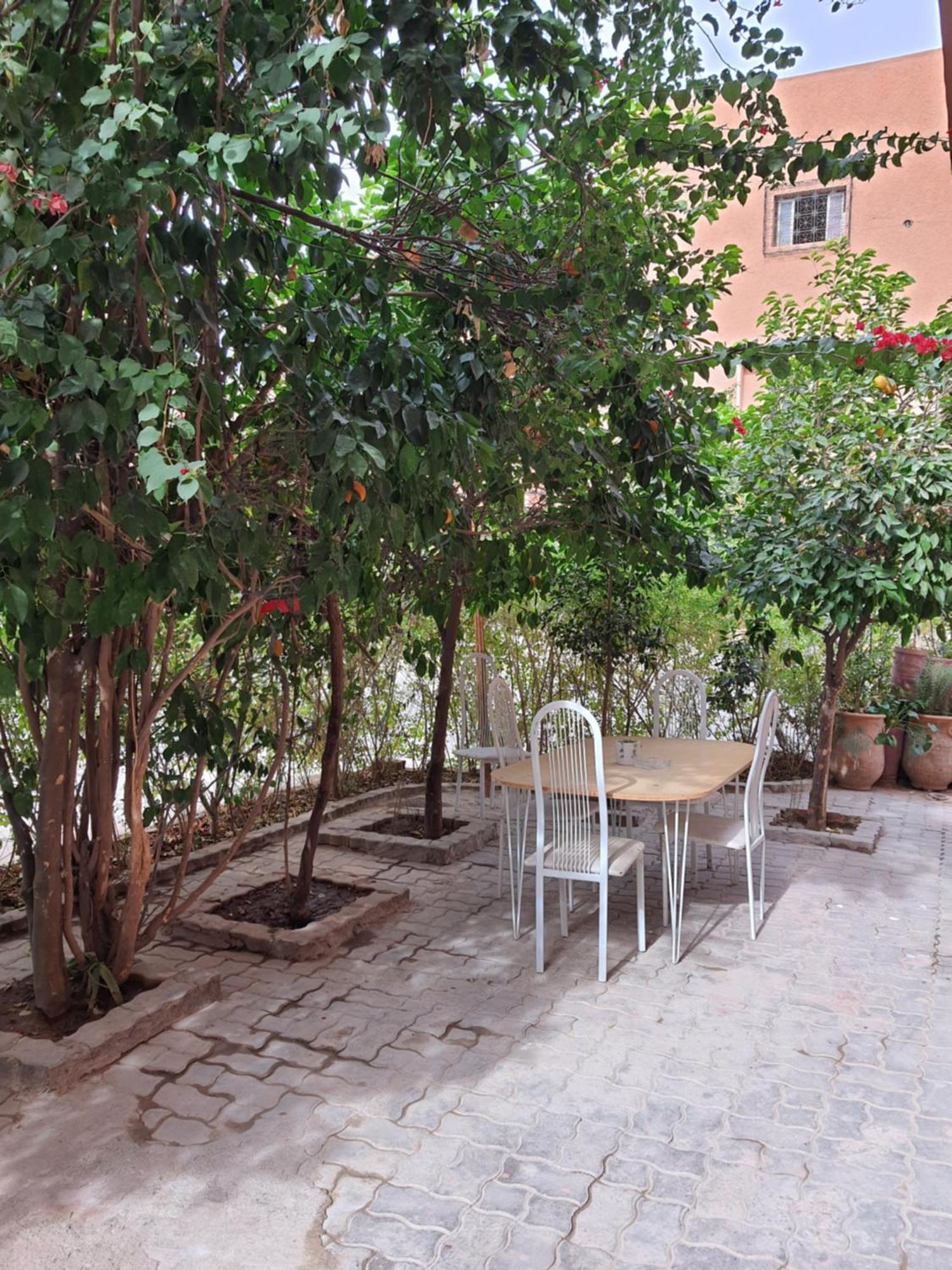 מרקש Marrakech Plus מראה חיצוני תמונה